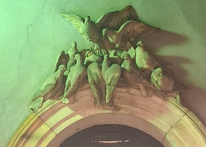Laporan dari Polandia tentang Nyonya Kazimiera, Burung Dara, dan Kebangkitan Kota Warsawa